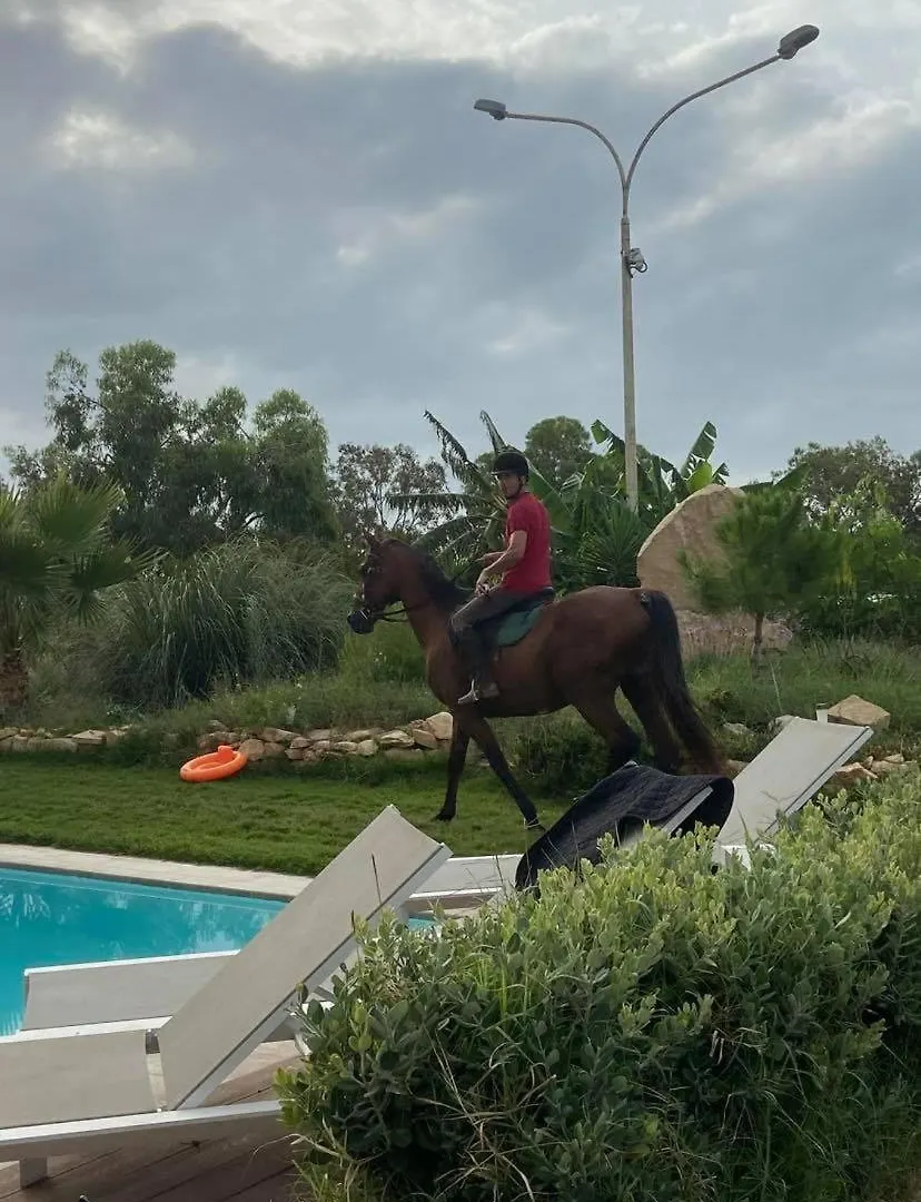 Marsaxlokk Farmstay Equine Centre Birżebbuġa