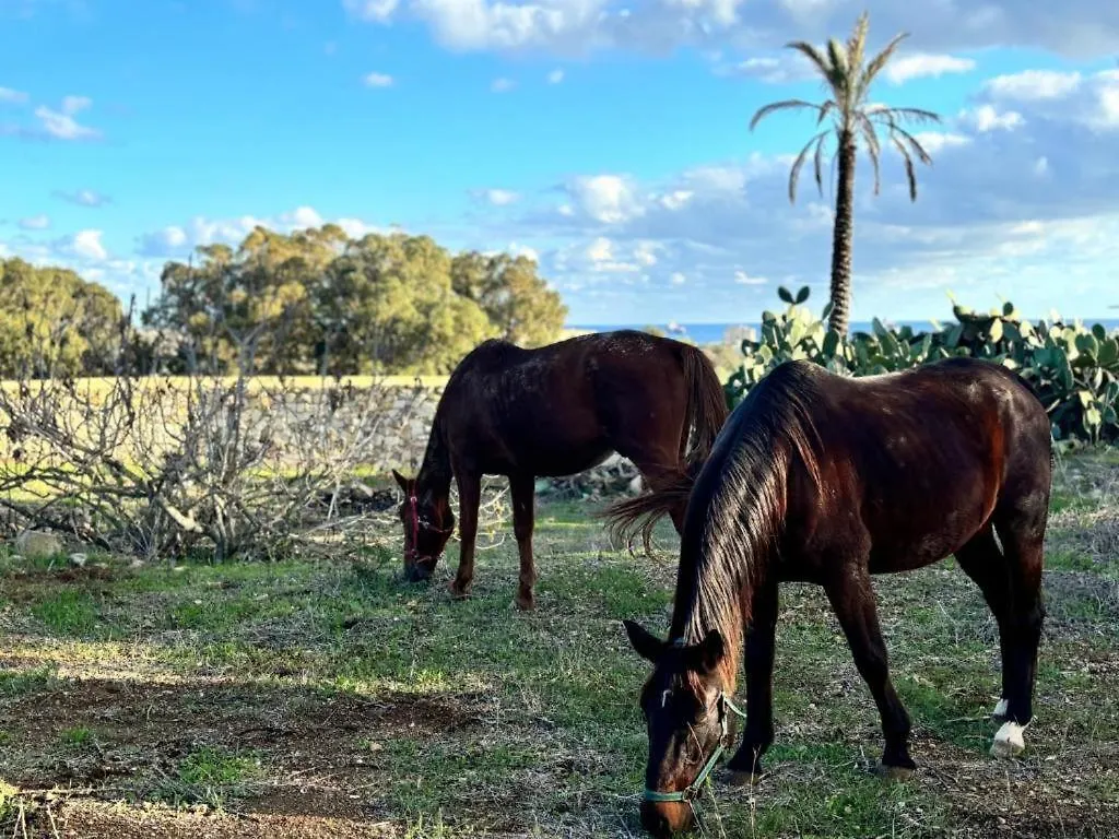 Marsaxlokk Farmstay Equine Centre Birżebbuġa