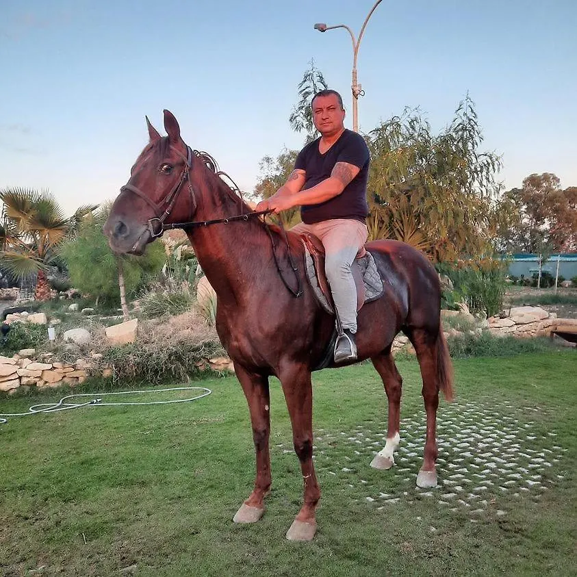 Marsaxlokk Farmstay Equine Centre Birzebbuga 0*,